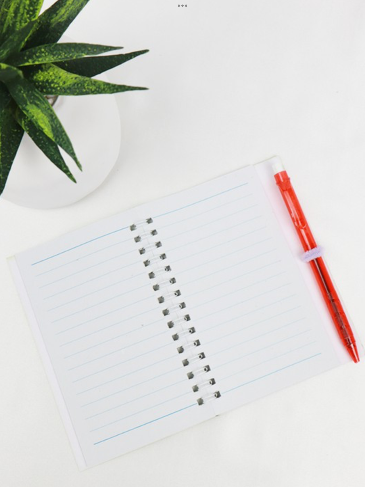 Notebook and Pen Set